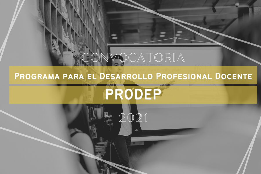 Programa para el Desarrollo Profesional Docente